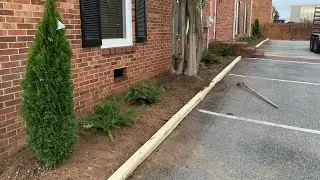 $1,200 One day Landscaping Project