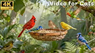 Cat TV 🐱 Nature Therapy with Bird Chirping Sounds for Cats Separation Anxiety | Best Video for Cat