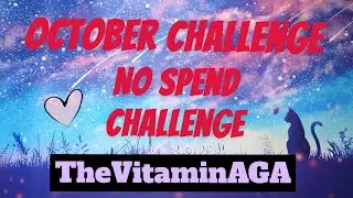 October Challenge | No spend challenge | $40 | Uber Driver