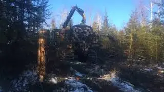TIMBERJACK 1410B