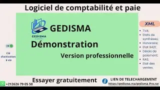 GEDISMA  La saisie des écritures comptables