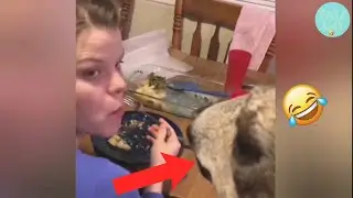 Видео с мгновенным сожалением / Смешное видео о неудачах / Постарайтесь не смеяться🤣 / Failday # 6