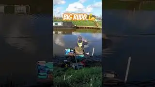 Fishing- Big rudd on whip #fishing #matchfishing #river #whip