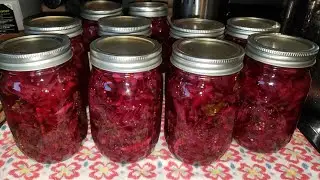 COLESLAW/ USING THE CABBAGE FROM MY GARDEN / FROM SIMPLY LIVING ALASKA CHANNEL