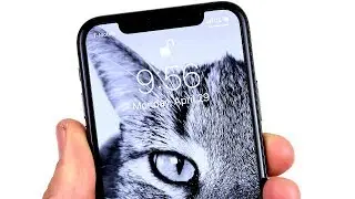Apple iPhone XS 7 Months Later!