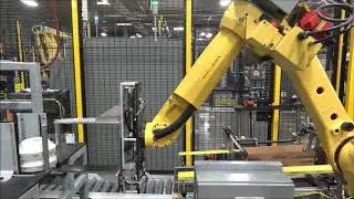 Robotic Case Packing Compilation | Remtec Automation
