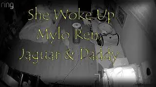 3 Mouse Hunters Wake Up Their Dad