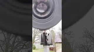 КАК СОРОКА ЭТО СДЕЛАЛА? #сорока#гнездо