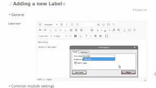 Moodle TinyMCE Text Editor Row 3