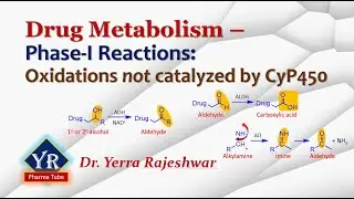 Drug metabolism - Phase-I Oxidation reactions | Oxidations not catalyzed by CyP450