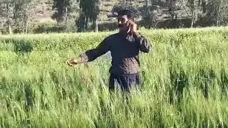 هوره چر میرحسن ویسی و تصویربرداری علی یغمایی