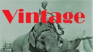 The Tin With the Elephant.  @thebestworlds777   Vintage. Collecting. Hobby. Retro