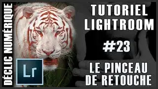 Tuto Lightroom #23 : Le pinceau de retouche