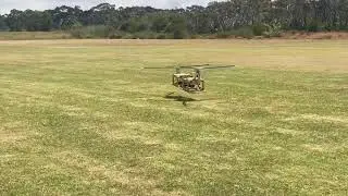 800 size Chinook - first hover