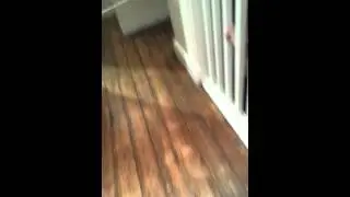 Trolling my sister with string