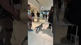 Настоящая собака или робопес - что вы выберете?🤔