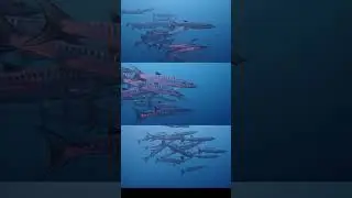 School of Barracuda #tulamben #bali #scubadiving