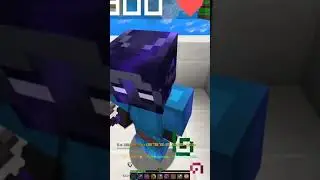 I Bought A Terminator For 40 MILLION COINS... (Hypixel Skyblock)