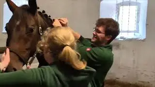 Der Tag vor der Fohlenschau in H&auml;melschenburg