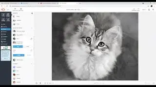 How to Make a Line Drawing in PicMonkey