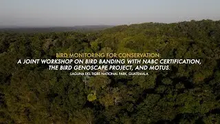 🦤🌎Bird banding: A technique to learn about bird ecology and understand their migratory routes.