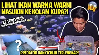 IKAN WARNA-WANI TERINDAH YANG PERNAH AKU LIHAT! GREBEK KEMBAR AQUARIUM! PUSAT PREDATOR DAN CICHLID!
