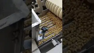 wheat peeler, maize skin peeling machine, beans skin peeling machine Bean peeler machine dehuller