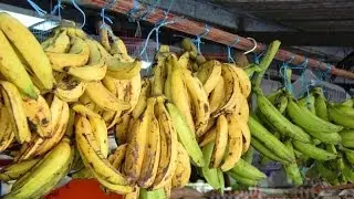 Caribbean Fruits & Vegetables Roadside Market.