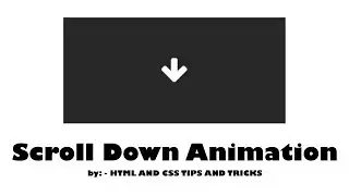 Scroll Down Animation | HTML AND CSS TIPS AND TRICKS