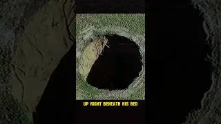 Jeff Bush and the Florida Sinkhole Tragedy #facts #shorts #fyp
