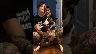 Rhea Ripley of wwe#rhearipley #wwefan #viral #fans #subscribe #shortvideos #shorts