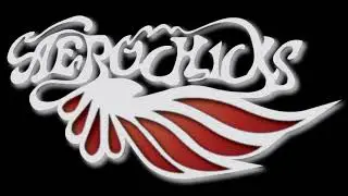 Aerochix - Live in Washington D.C. 2011 [Full Concert]