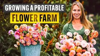 Selling Flowers = Serious Cash? Here's How She Did It | Jenny Marks