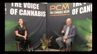 Launch of Cannabis Chat Live 9/9/20