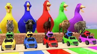 Paint Animals Duck,Tiger,Cow,Lion,Gorilla,Elephant, Fountain Crossing - Animals Story Cartoon