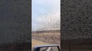 I&rsquo;ve never seen anything like this!