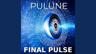 Final Pulse (Instrumental Mix)