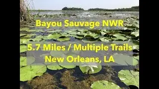 Bayou Sauvage NWR - Trails in Louisiana Near New Orleans