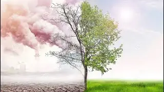 Contaminación Atmosférica