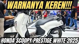FIRST IMPRESSION HONDA SCOOPY PRESTIGE WHITE 2025