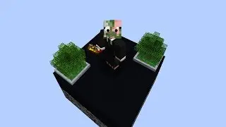 How To: Start on the Bonsai Island in Modern Skyblock 3 Departed