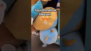 Squishmallow Heaven #squishmallows #squishy #heaven #walmart #shorts