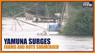 Yamuna River Surges in Noida | Floods Affect Farms & Huts | News9