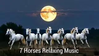 7 Horses Relaxing Music | Positive Energy | Peace of Mind 