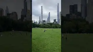 Central Park NYC | Sheep Meadow