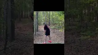 How to dissect hole 18 at SEW with a pig #discgolf #innova #pig #birdie #dissect @InnovaDiscGolf￼