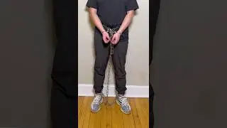 CTS Transport Restraint and Yeezy 350 V2 Zebra