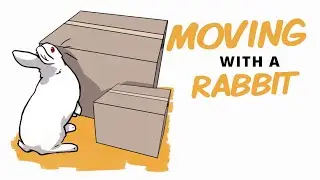 Moving House With a Rabbit