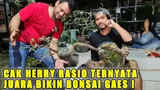 BERKEBUN BARENG CAK HERI RASIO ! Bikin bonsai tanaman asem