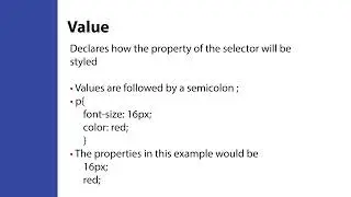 CSS for Beginners Syntax & 4 Basic Components